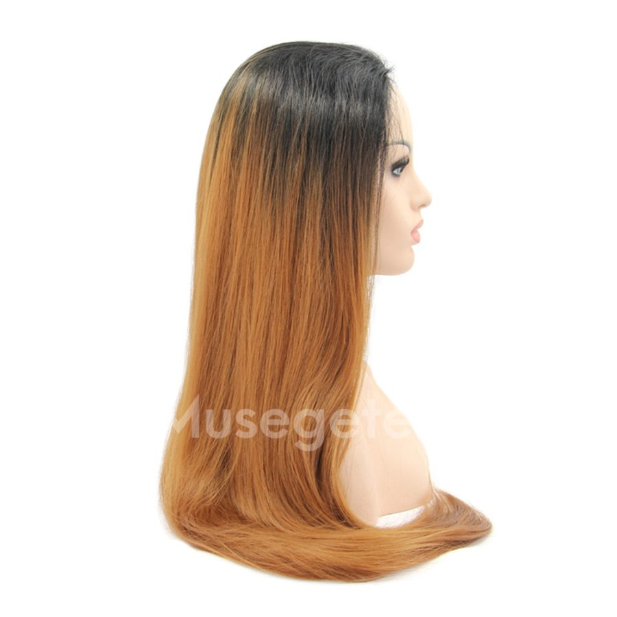Ombre Brown Straight Synthetic Lace Front Wig HS0001